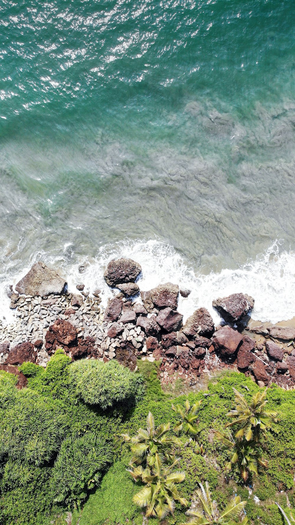 brown rocks near body of water during daytime