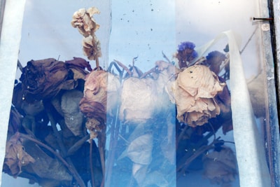 A collection of wilted and dried flowers placed behind a pane of glass. The flowers are predominantly brown and faded, likely indicating age or exposure to the elements. The glass has a slightly cloudy texture, adding to the overall mood of decay and nostalgia.