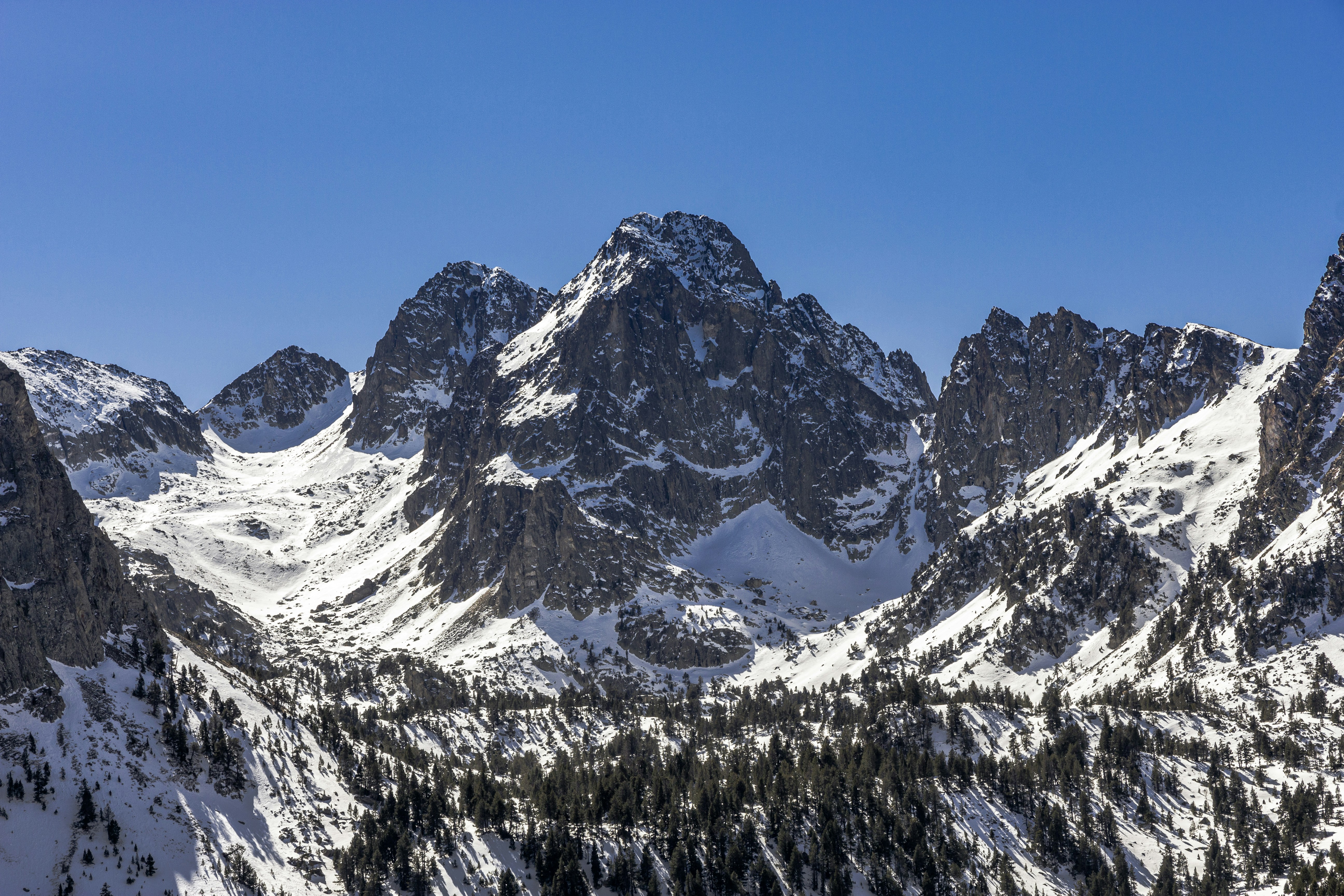 Photo by isaacquesada