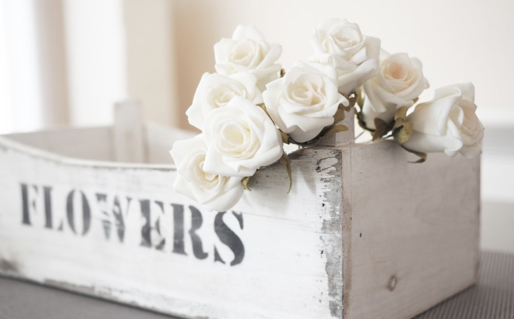 Roses blanches sur boîte en bois blanc