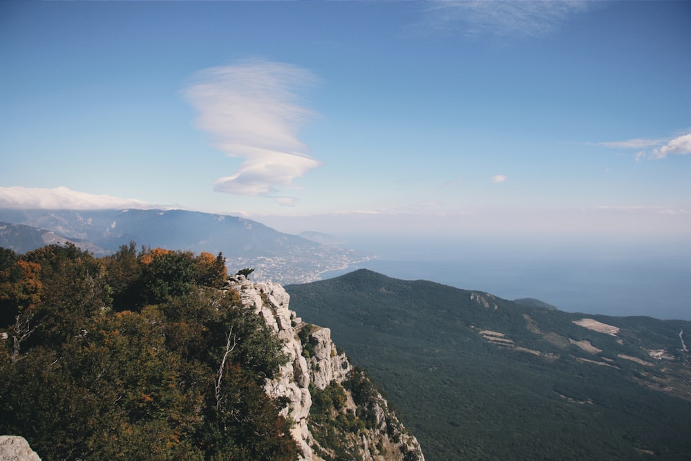 green trees on mountain under blue sky during daytime