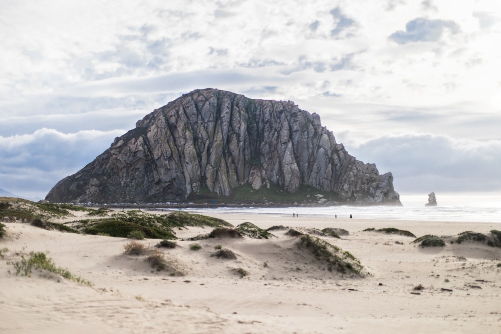 brown rock formation on sea shore during daytime