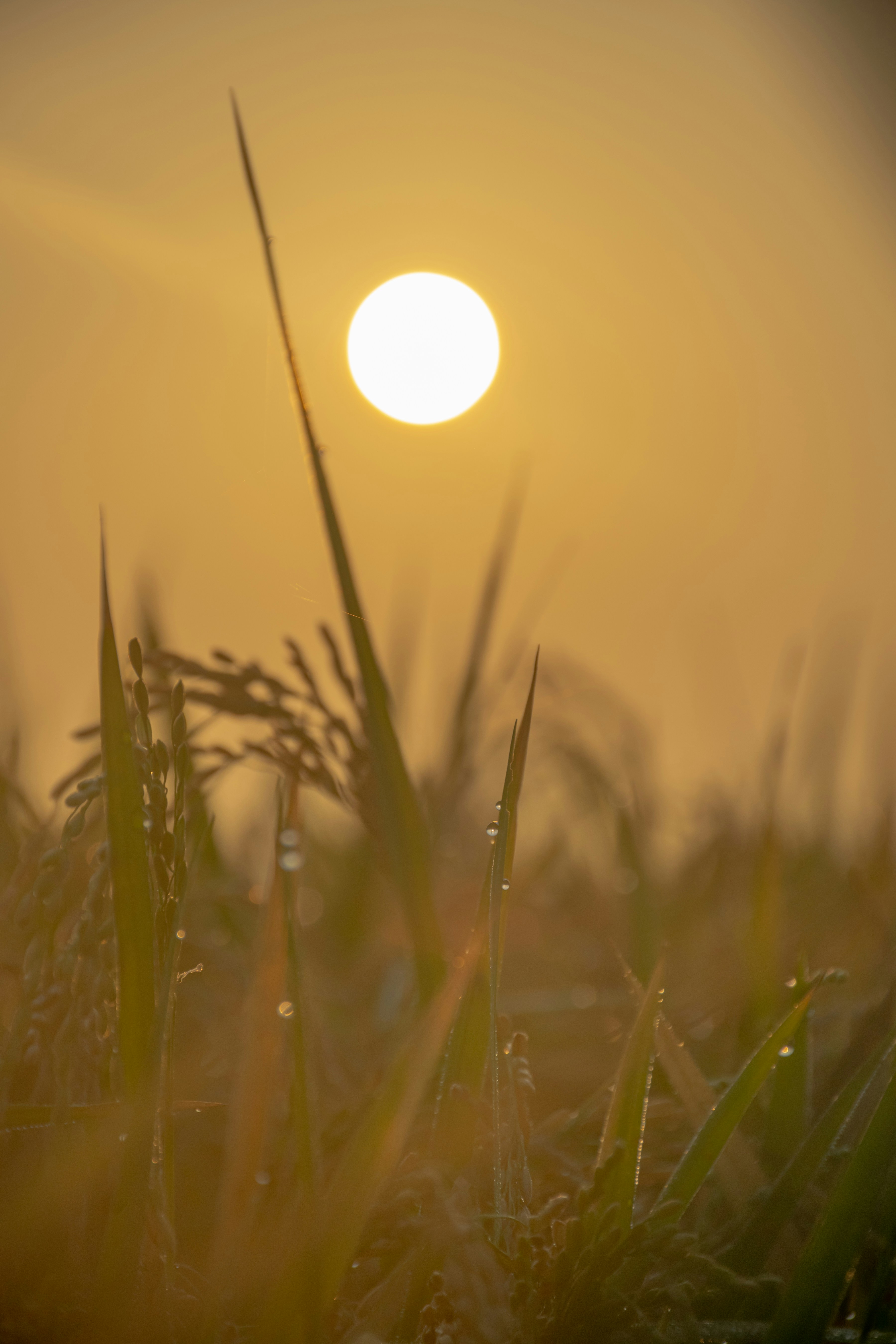 Photo by itsmejebastin