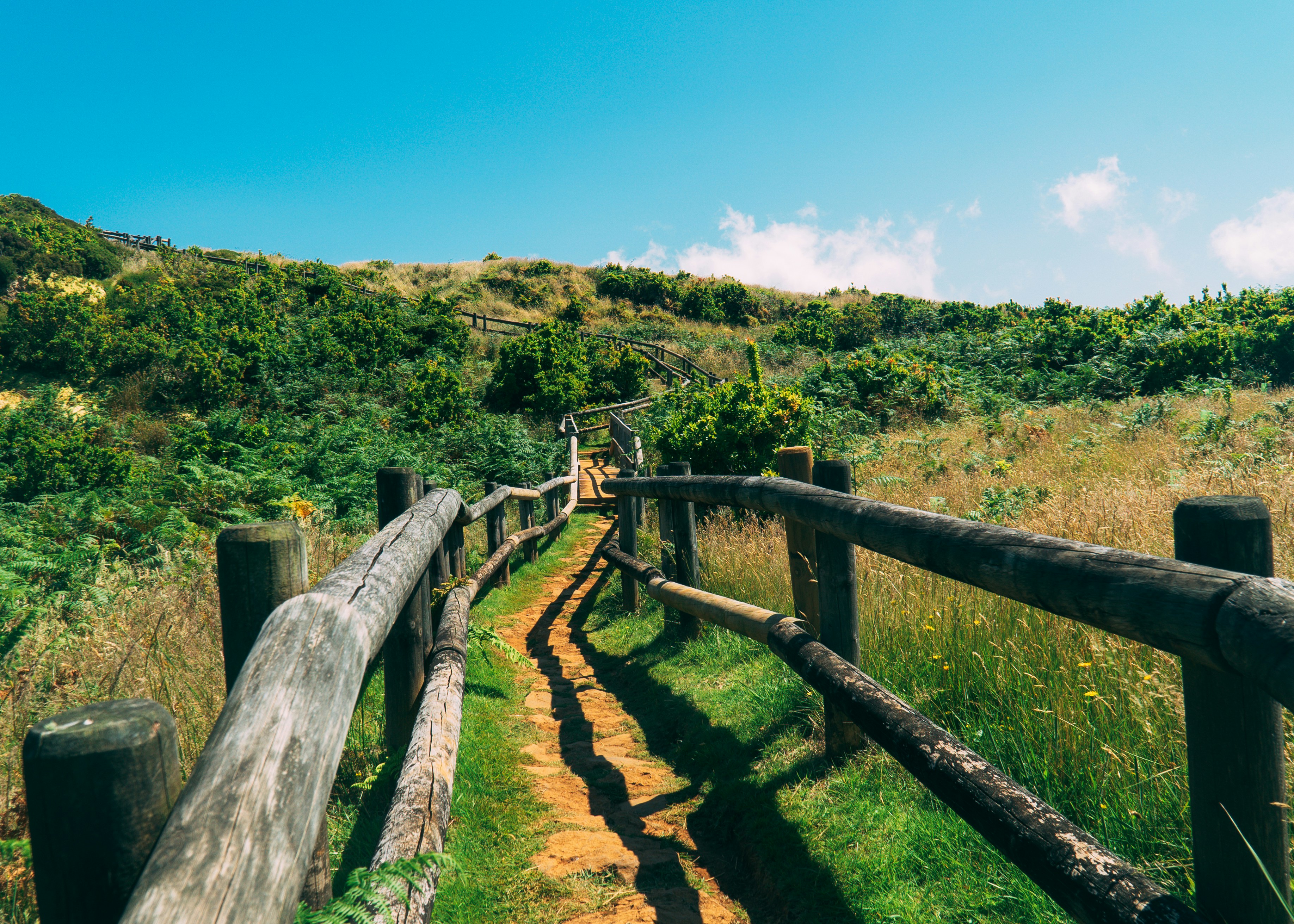 Photo by natanaelvieir