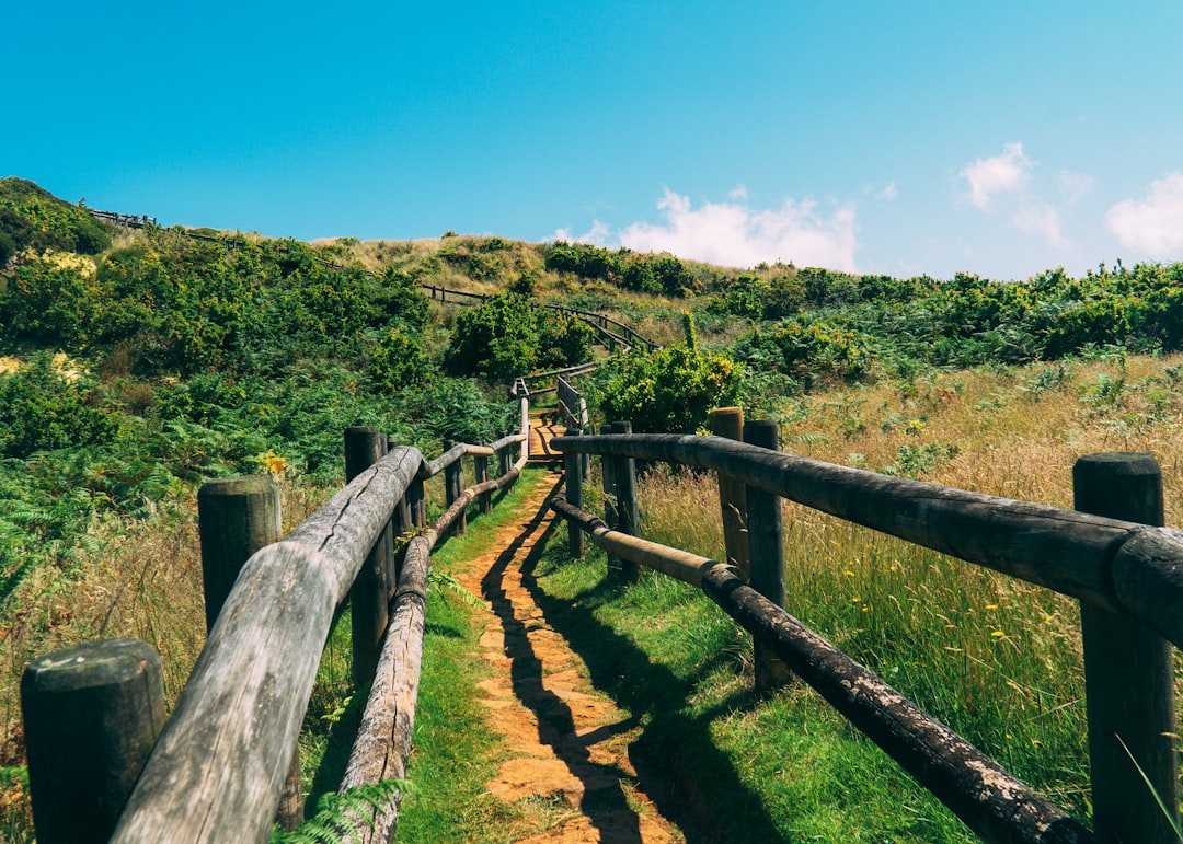 Nature reserve photo spot Azores Miradouro da Vista do Rei