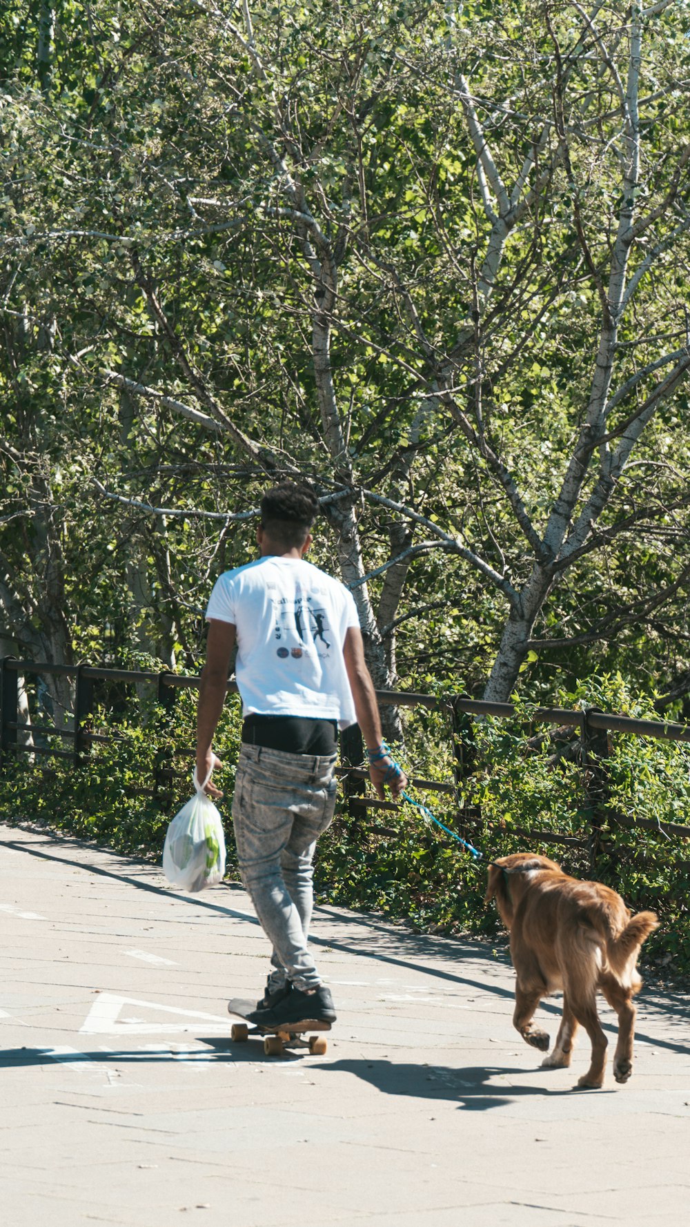 man in white t-shirt and blue denim jeans walking with brown dog on sidewalk during