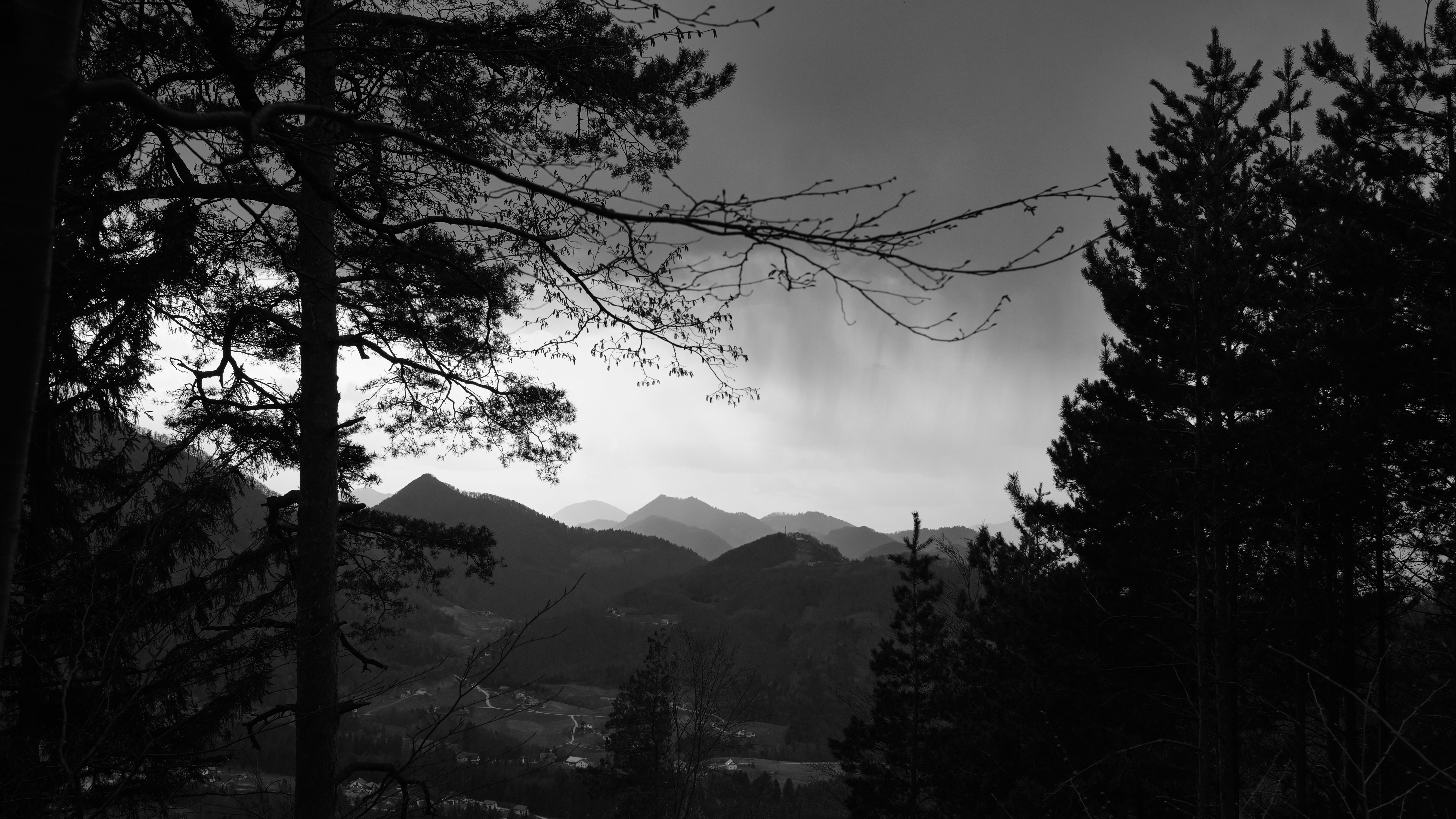 Photo by kristjankotar