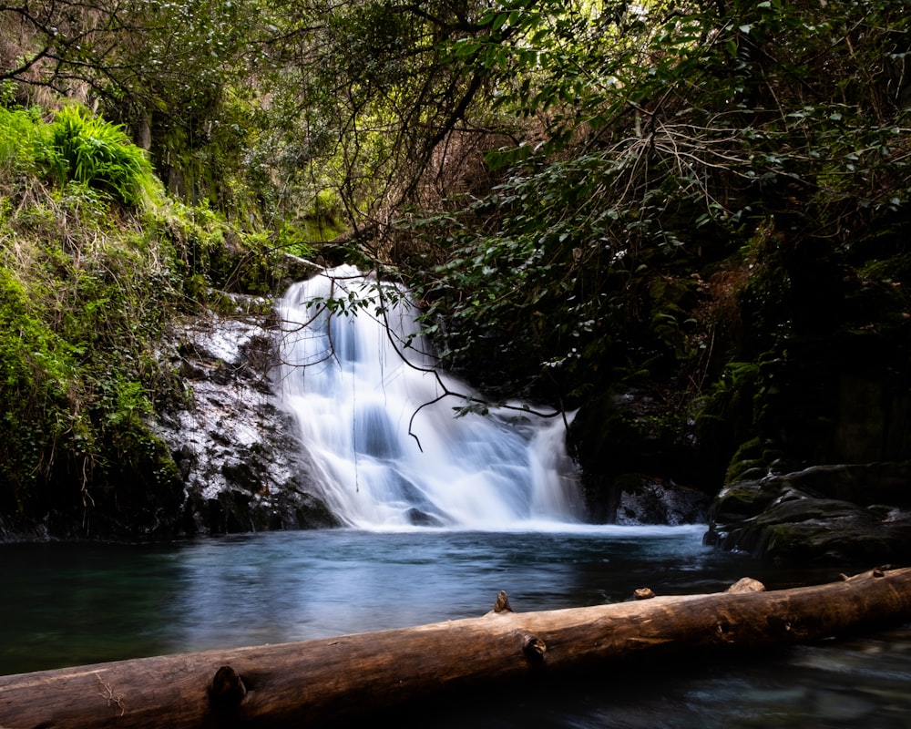 water falls on brown wooden log