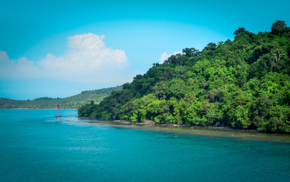 árboles verdes junto al mar azul bajo el cielo azul durante el día