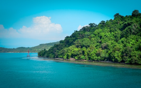 green trees beside blue sea under blue sky during daytime in Selat Sunda Indonesia