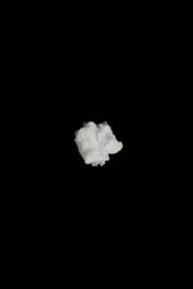 A single crumpled white tissue or paper is centered against a solid black background.