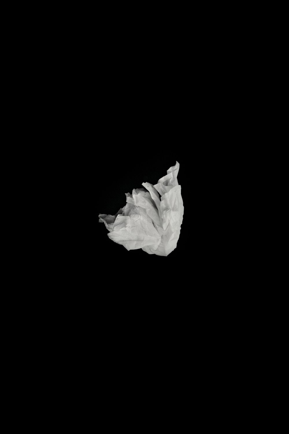 white flower in black background