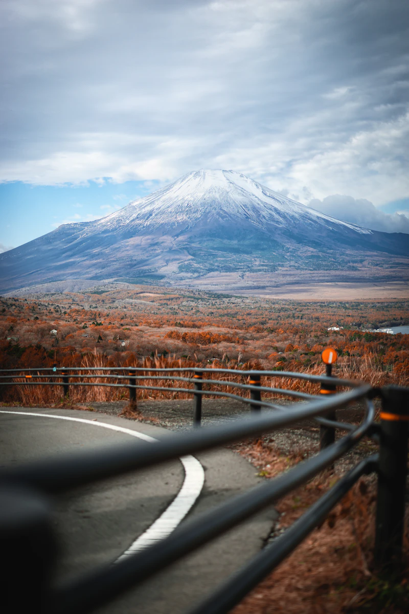 雪をかぶった山と枯れ草の野原