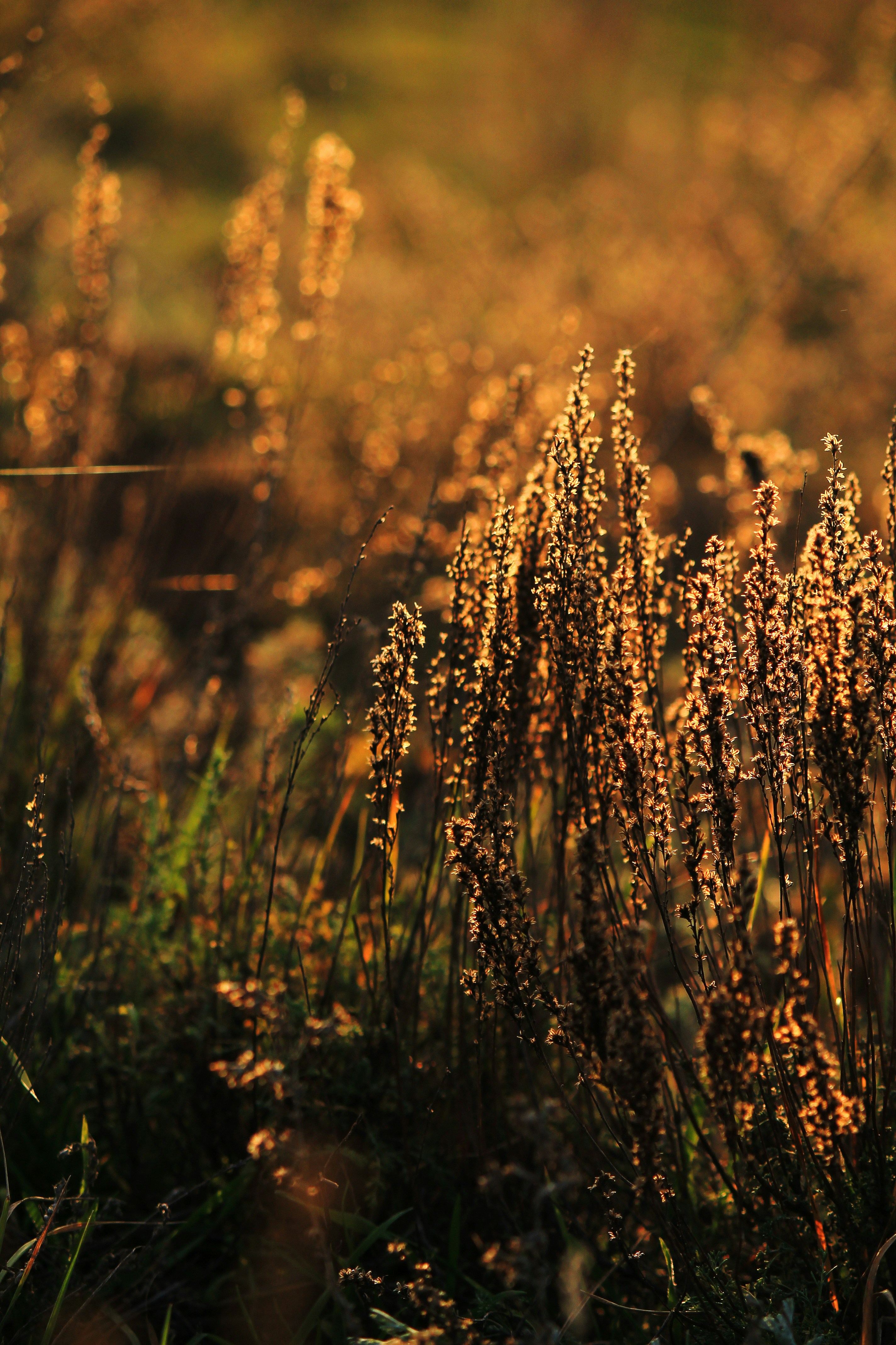 Photo by elenatkacheva