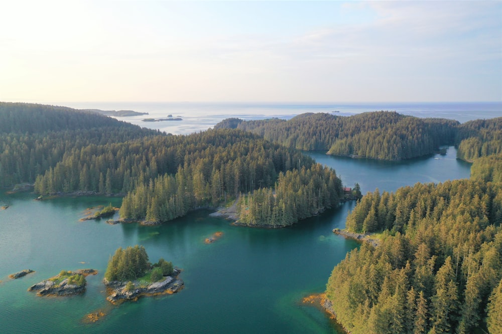 green lake surrounded by green trees during daytime