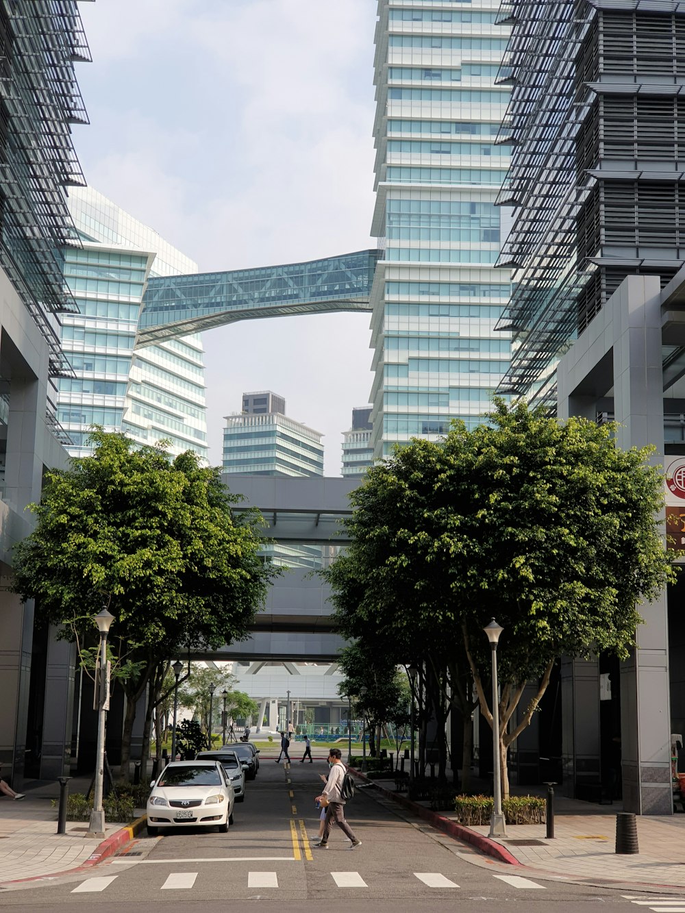 green tree near white concrete building during daytime