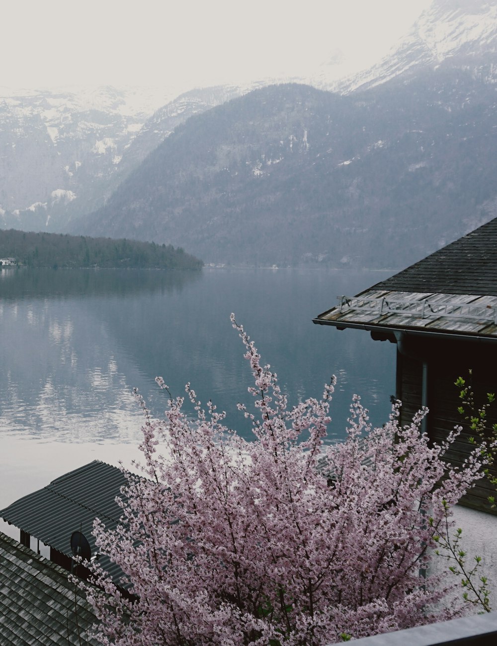 a view of a body of water with mountains in the background