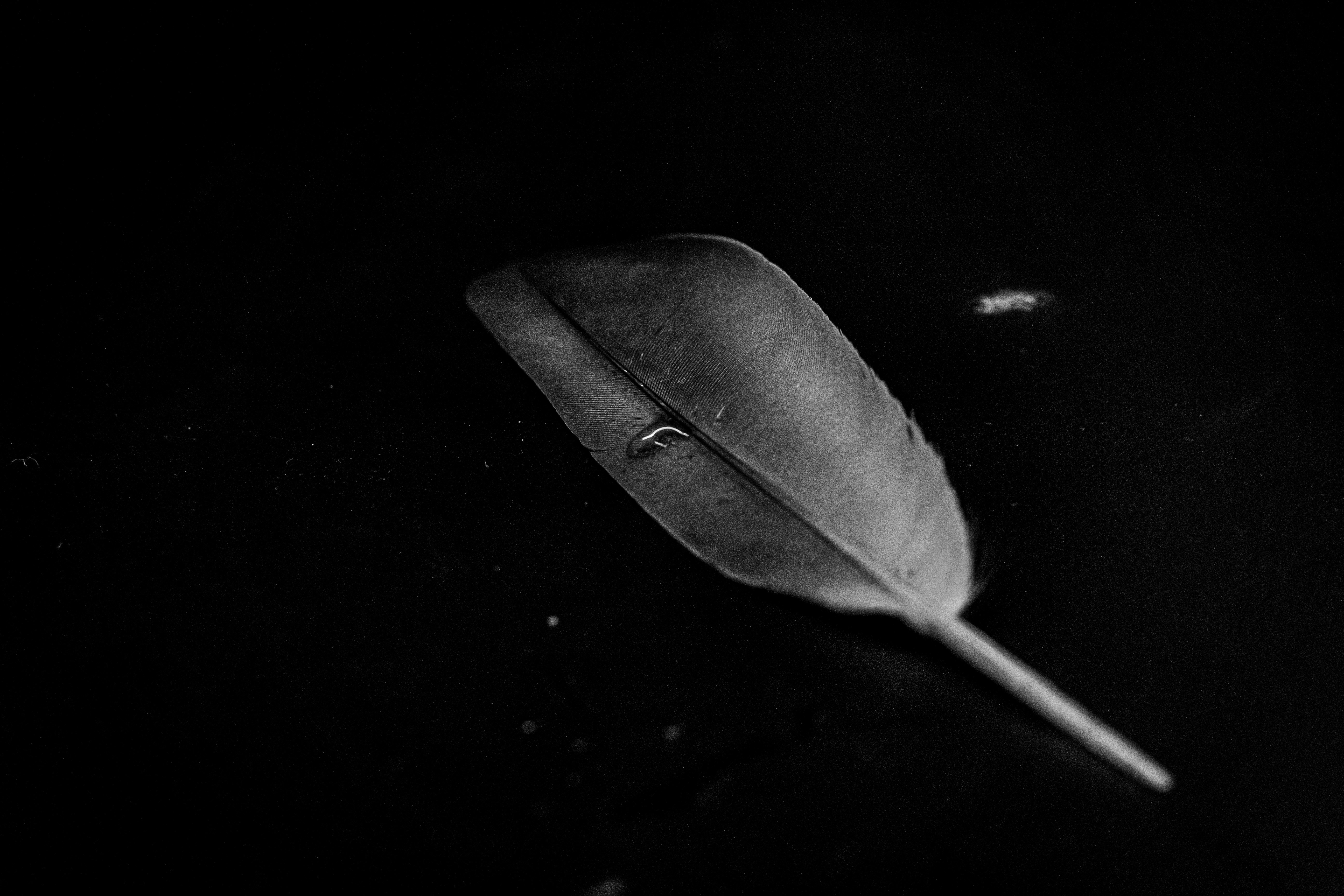 Cigarettes After Sex Lyrics