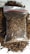 A clear plastic bag filled with dried, shredded brown material, possibly tobacco or a similar substance, rests on a surface. Loose pieces of the material are scattered around the bag.