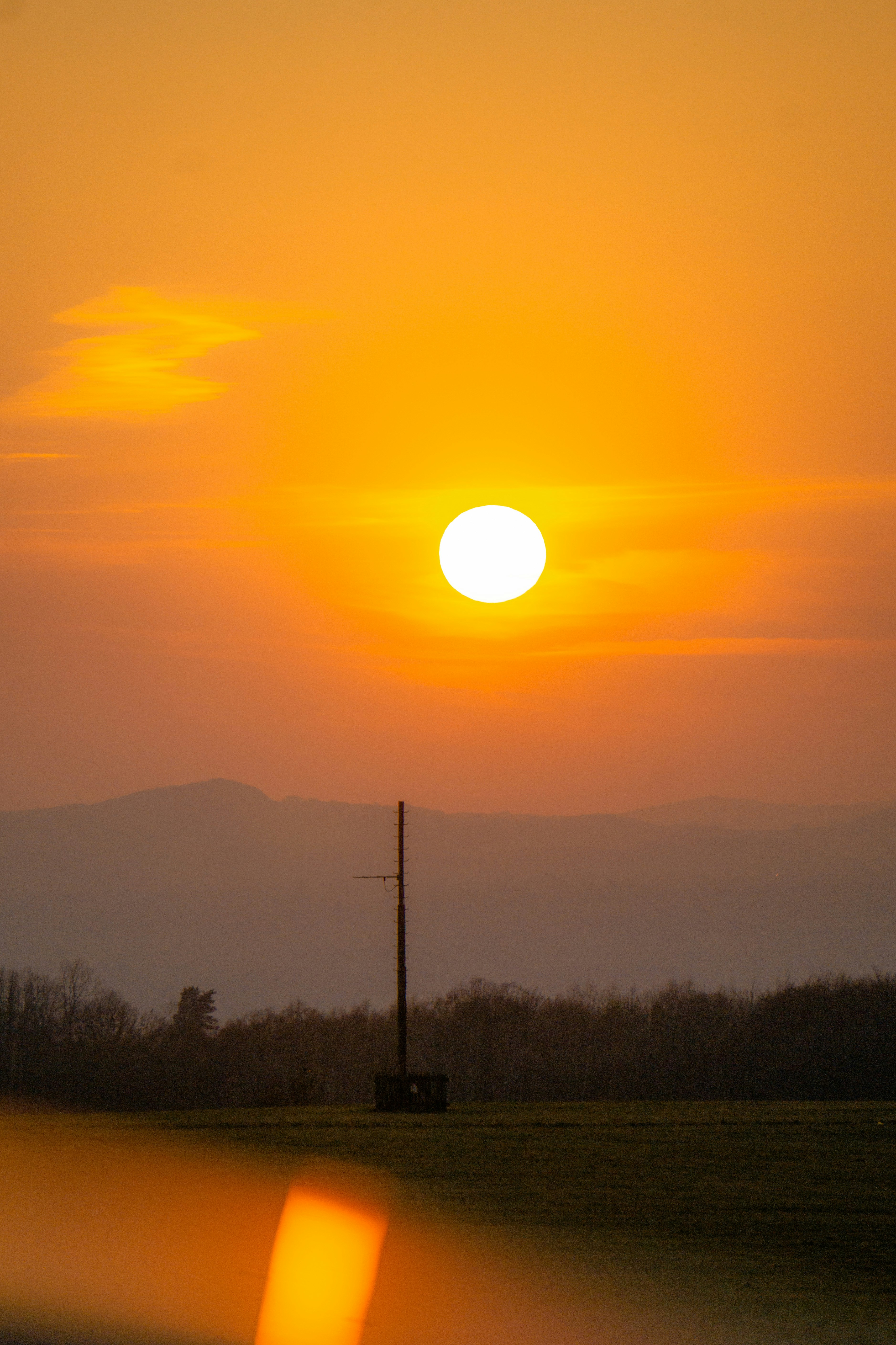 Conservative Leaders Embrace Solar for AI and Energy Edge