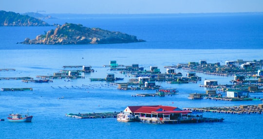 Vinh Hy Bay things to do in Ninh Thuan Province