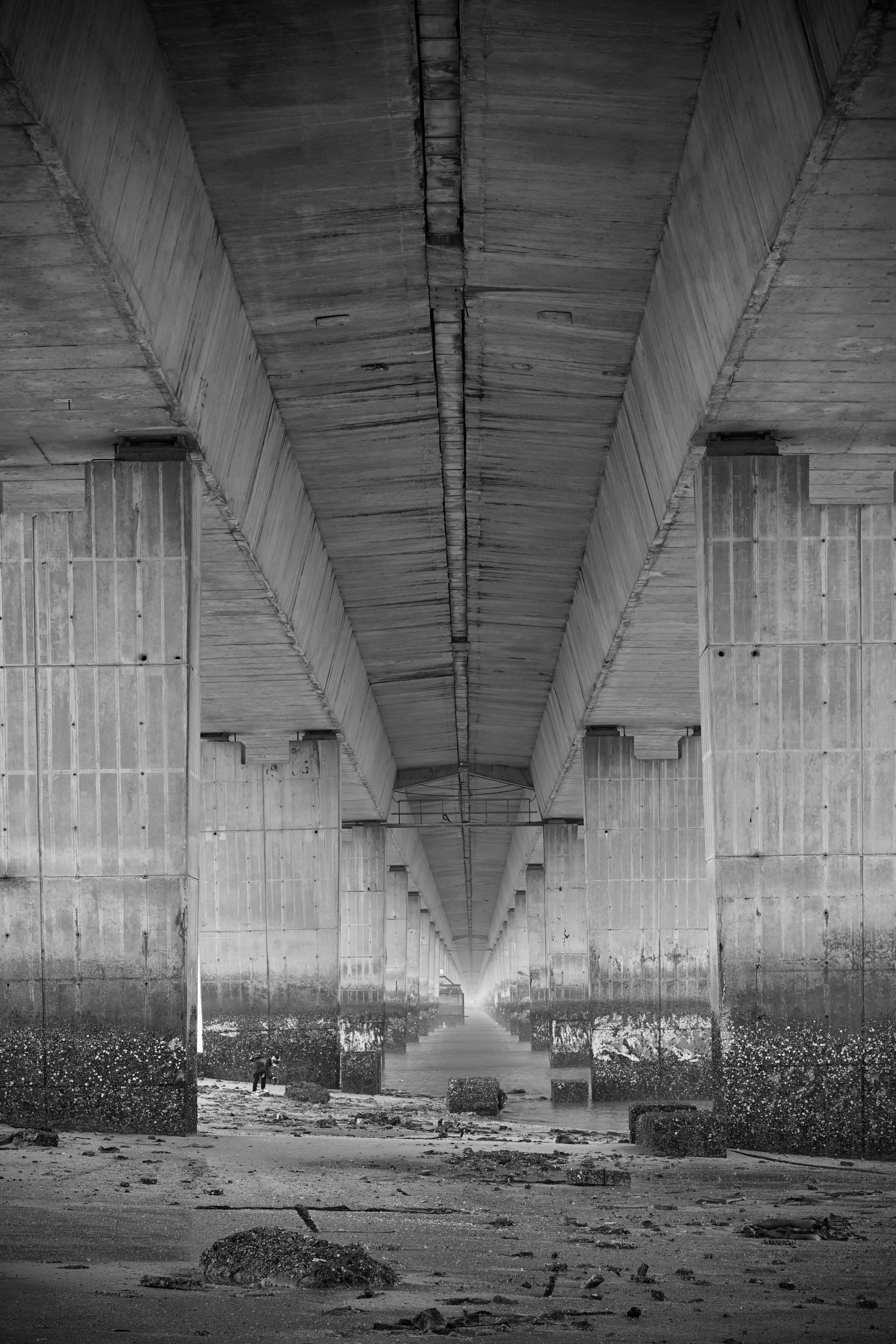 Photo by berlinz