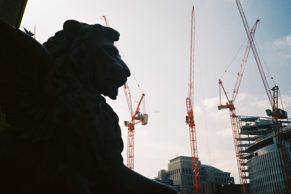 silhouette of horse statue during daytime