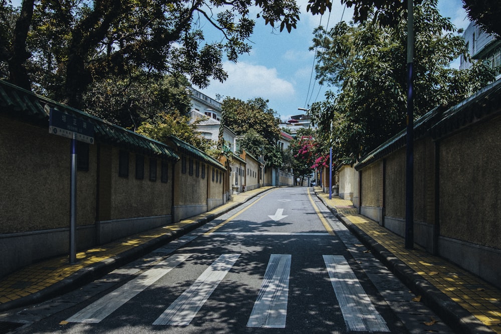 gray concrete road between green trees during daytime