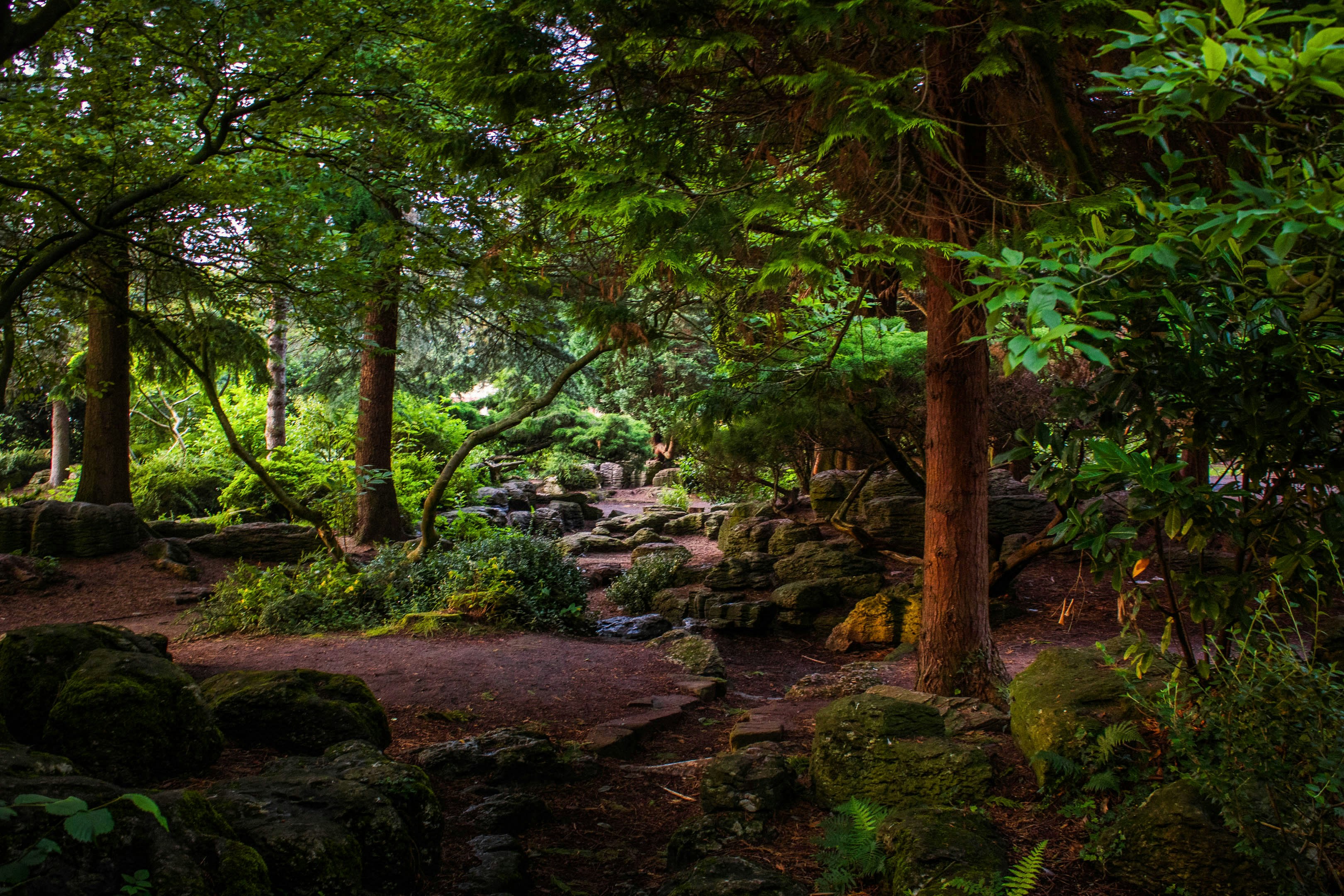 Photo by mohamadchalak