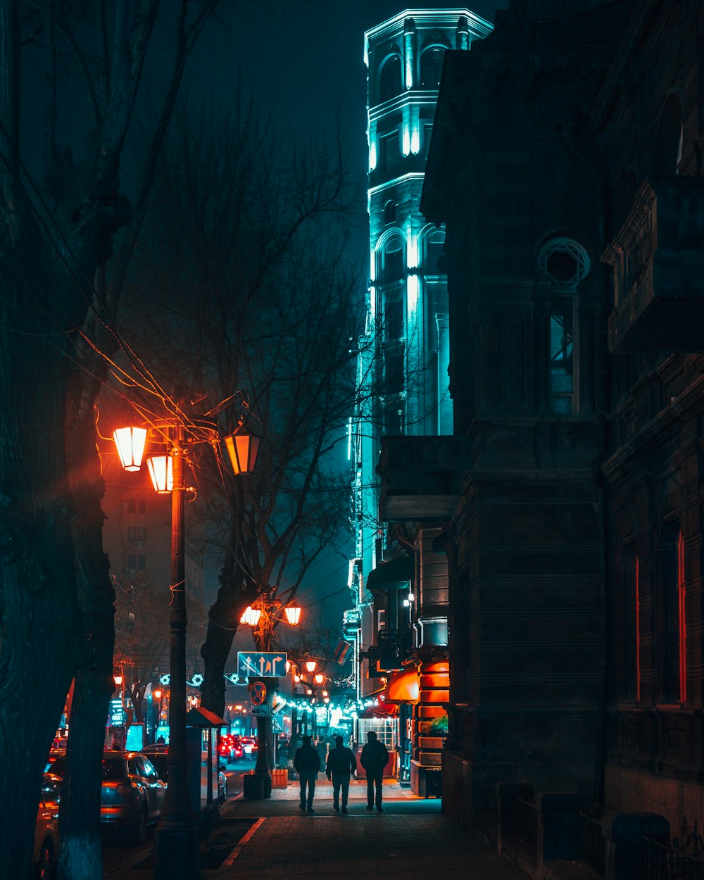 people walking on street during night time