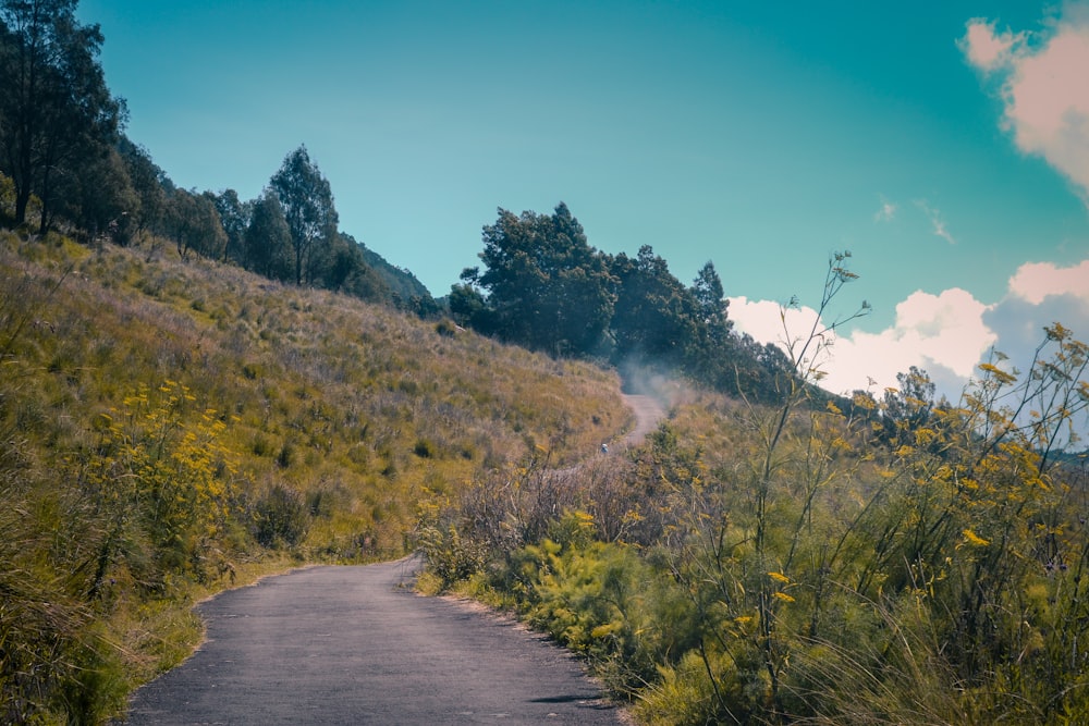 gray asphalt road between green grass field during daytime