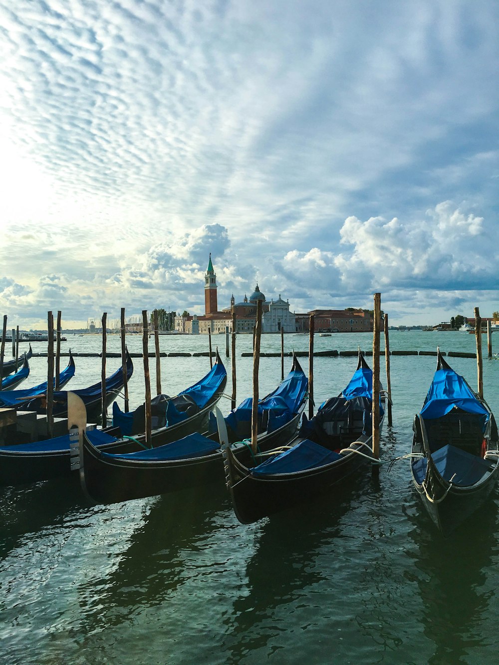 blue and black boat on dock during daytime