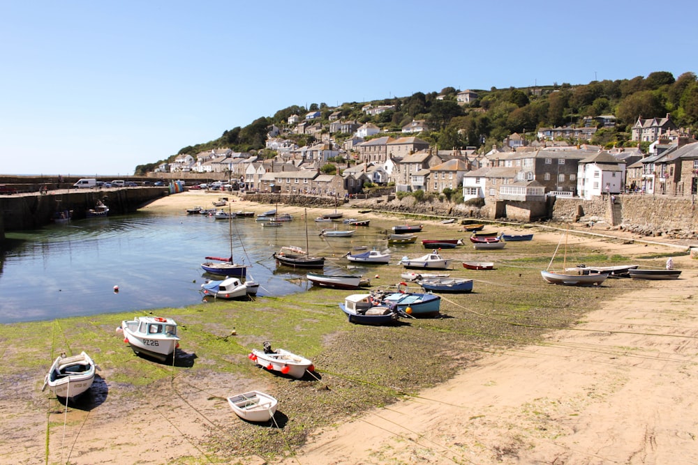 boats on water near buildings during daytime