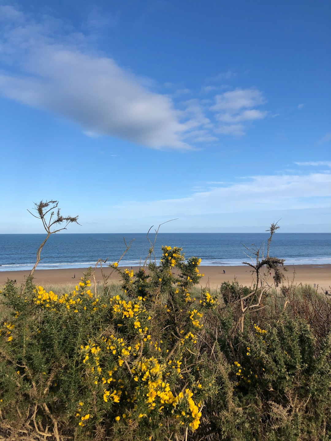 photo of Tynemouth Shore near Tyne Bridge