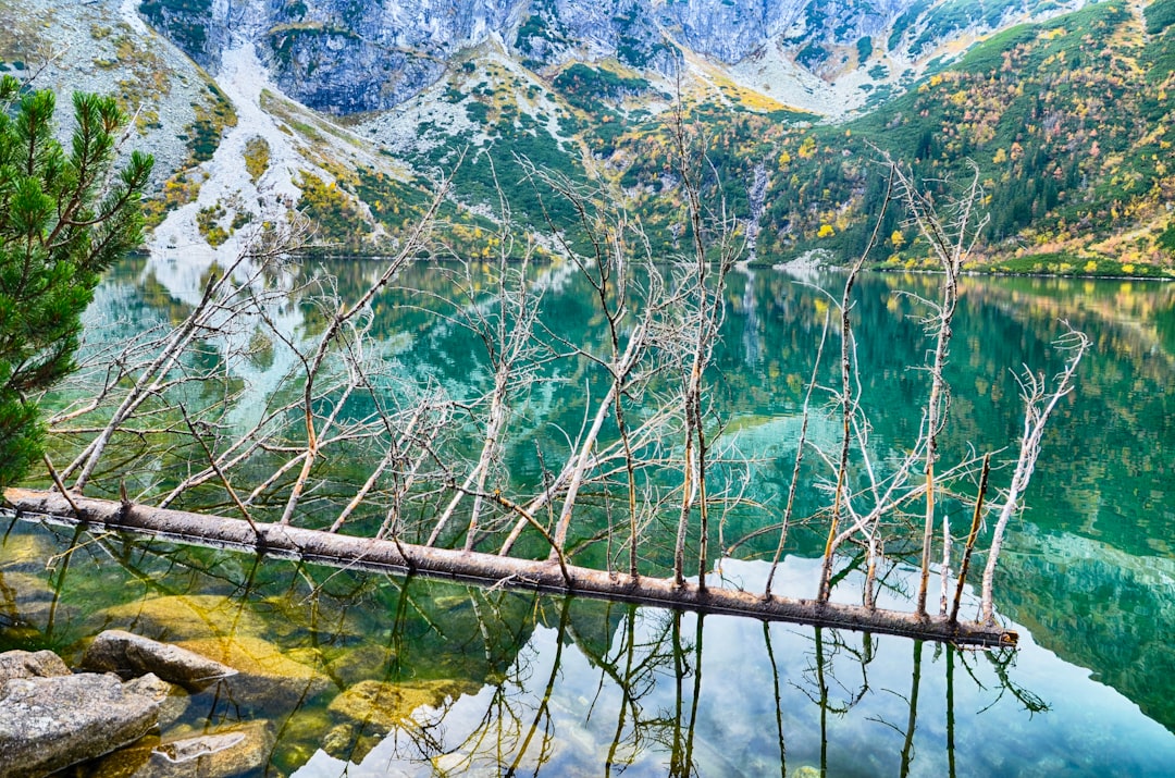 travelers stories about Suspension bridge in Morskie Oko, Poland