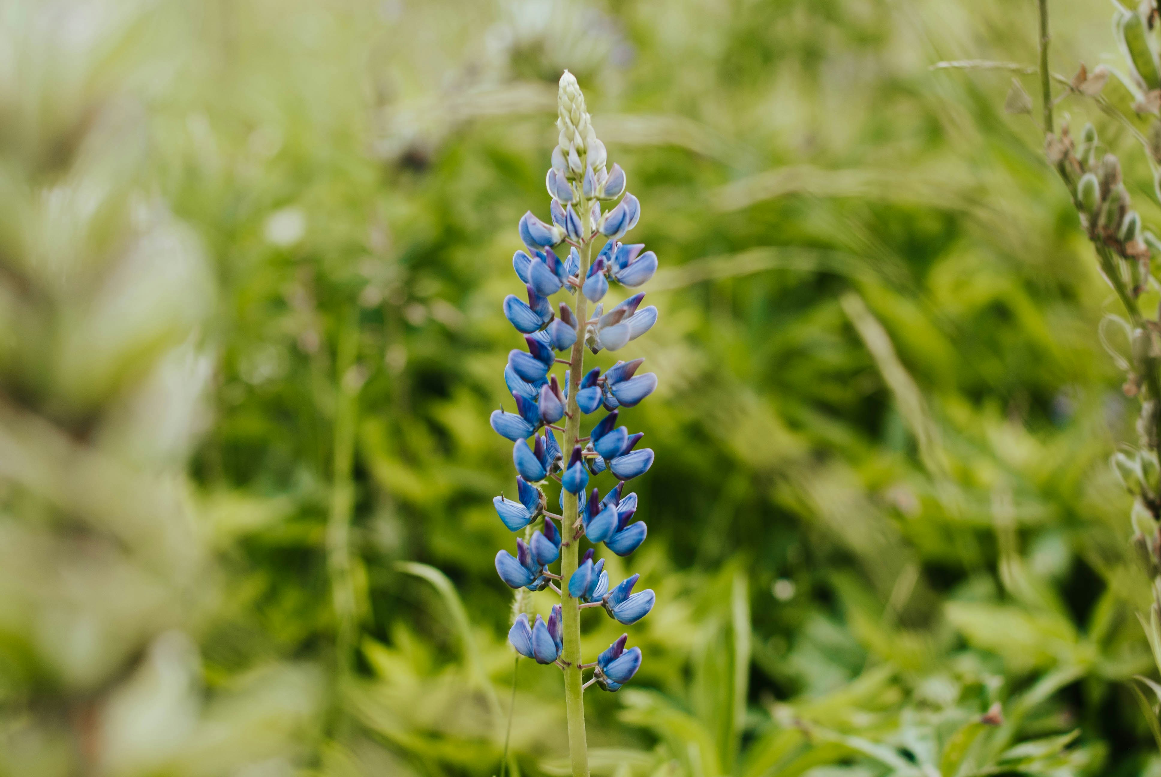 Photo by octoberroses