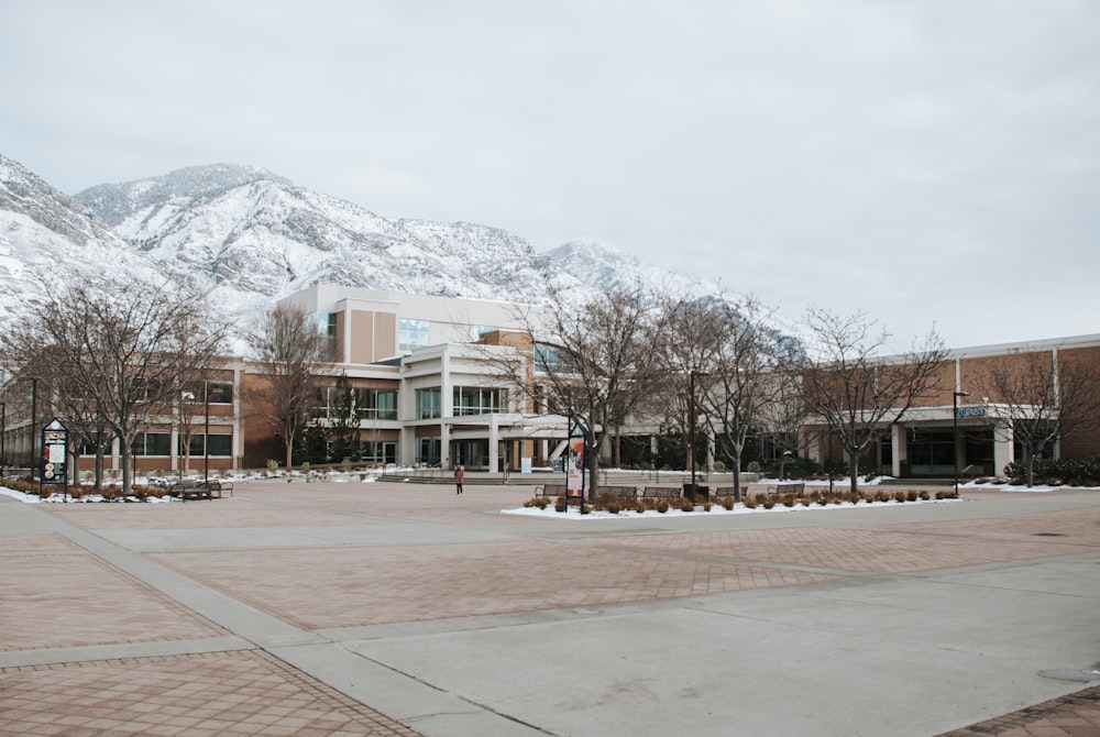 brown bare trees near brown building under white sky during daytime