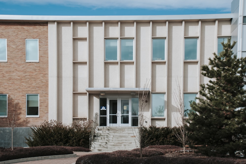 white concrete building with green plants