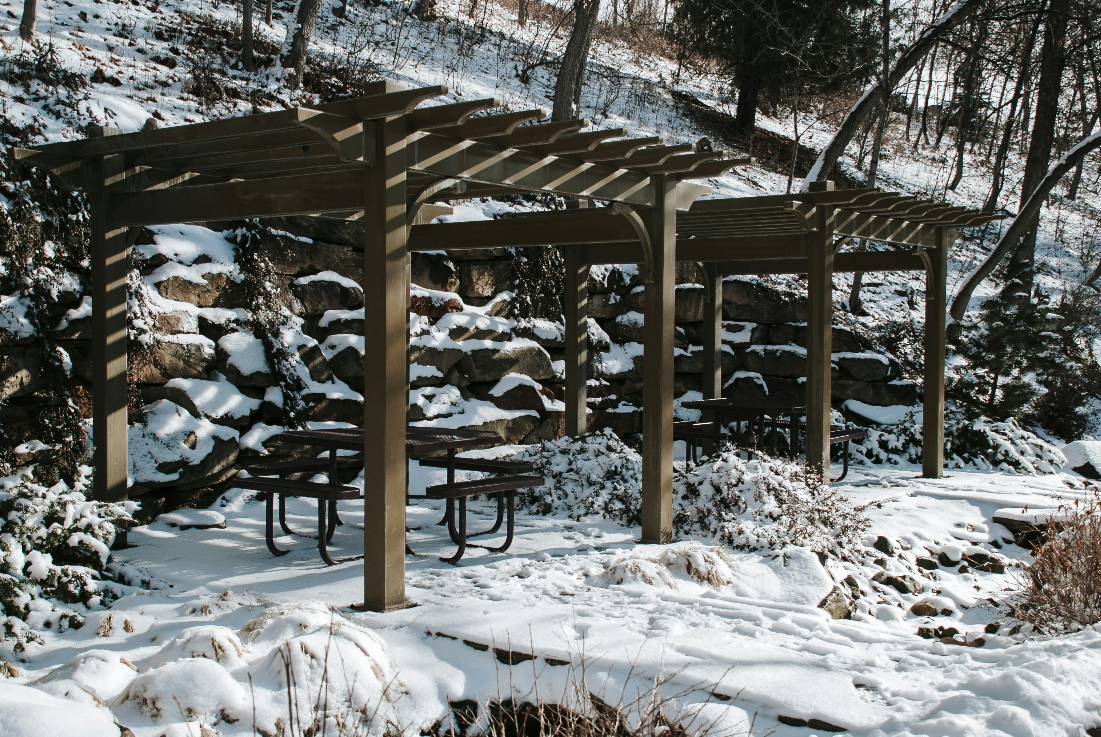 Stained cedar pergola over a patio