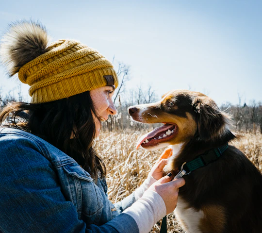 A happy dog and cat wearing colorful handmade clothes, playing together in a sunny garden.