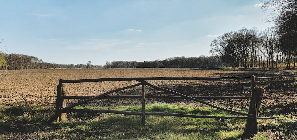 green grass field under white clouds during daytime