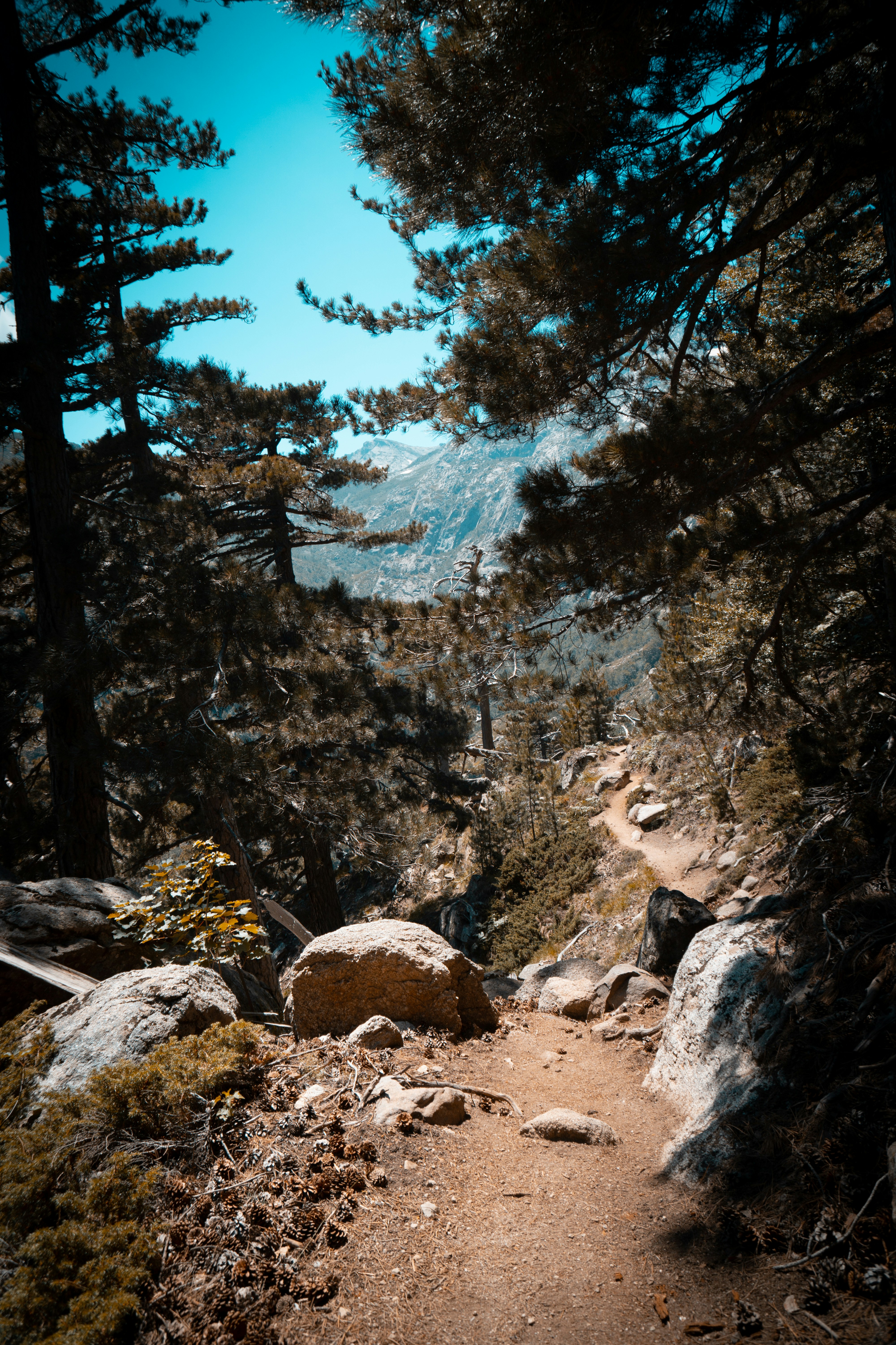 Photo by we_are_rising