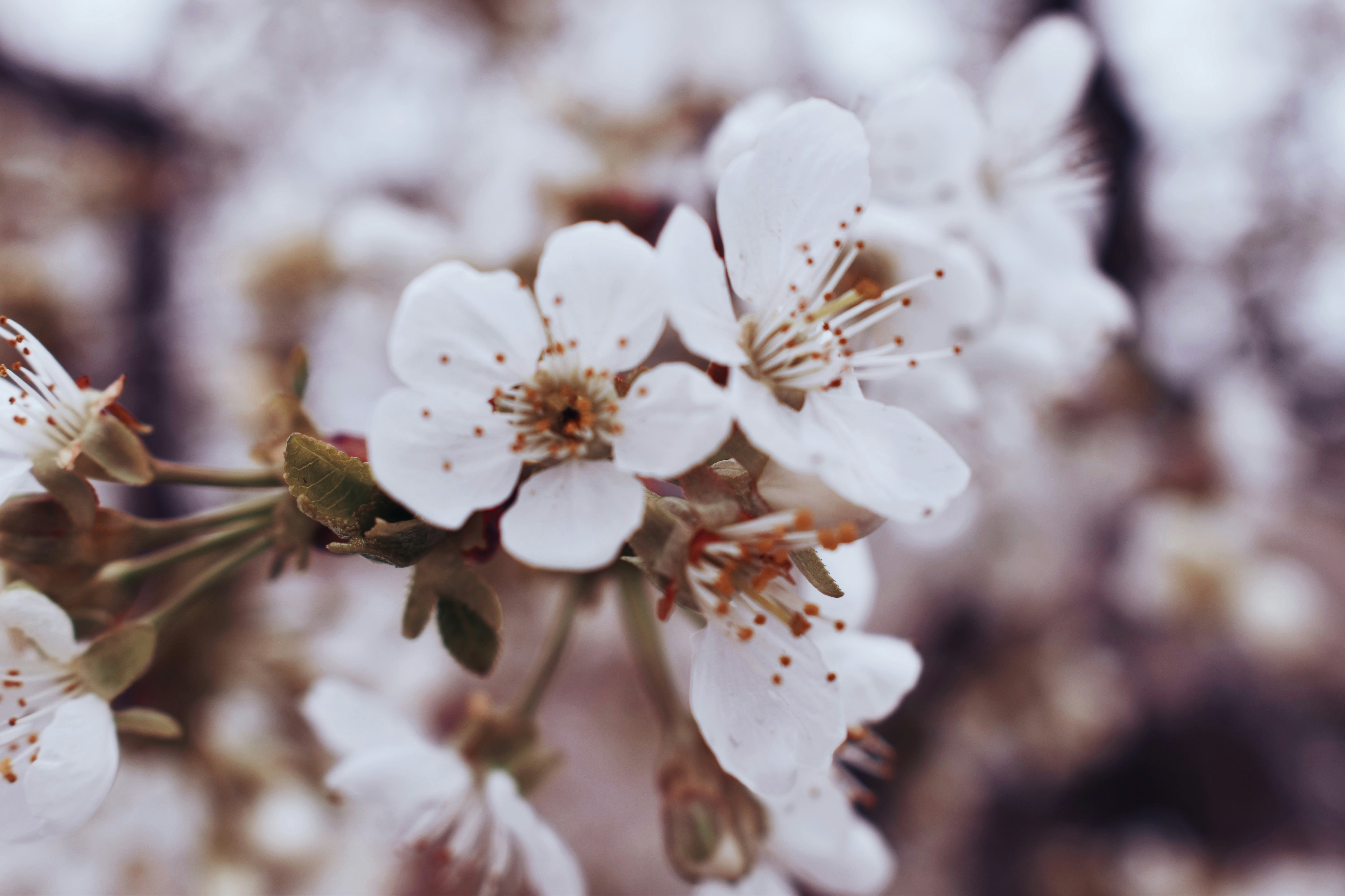 Photo by mitranamari