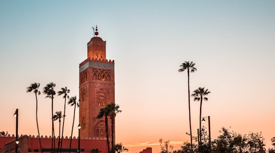 brown concrete building near palm trees during sunset in Marrakech Morocco