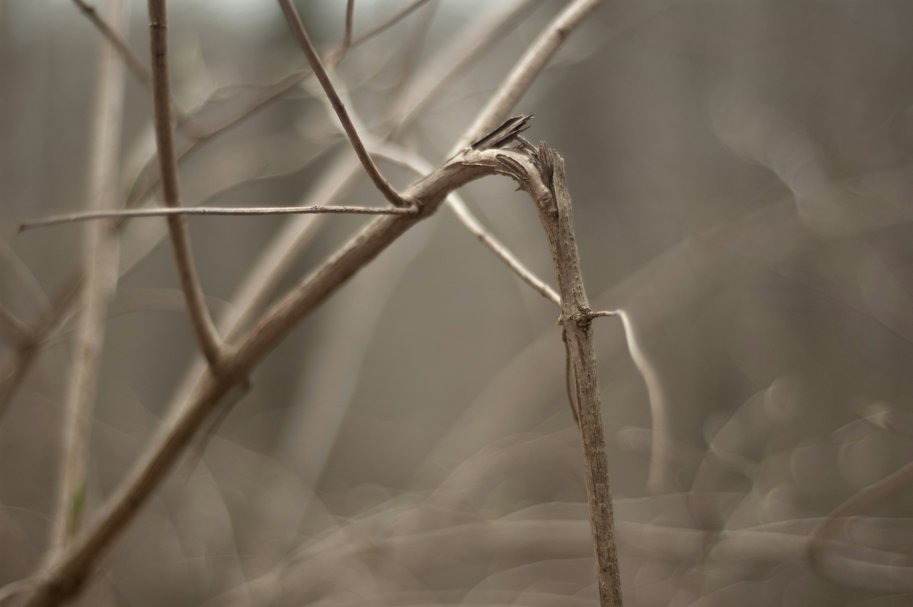 Photo by johnmathews