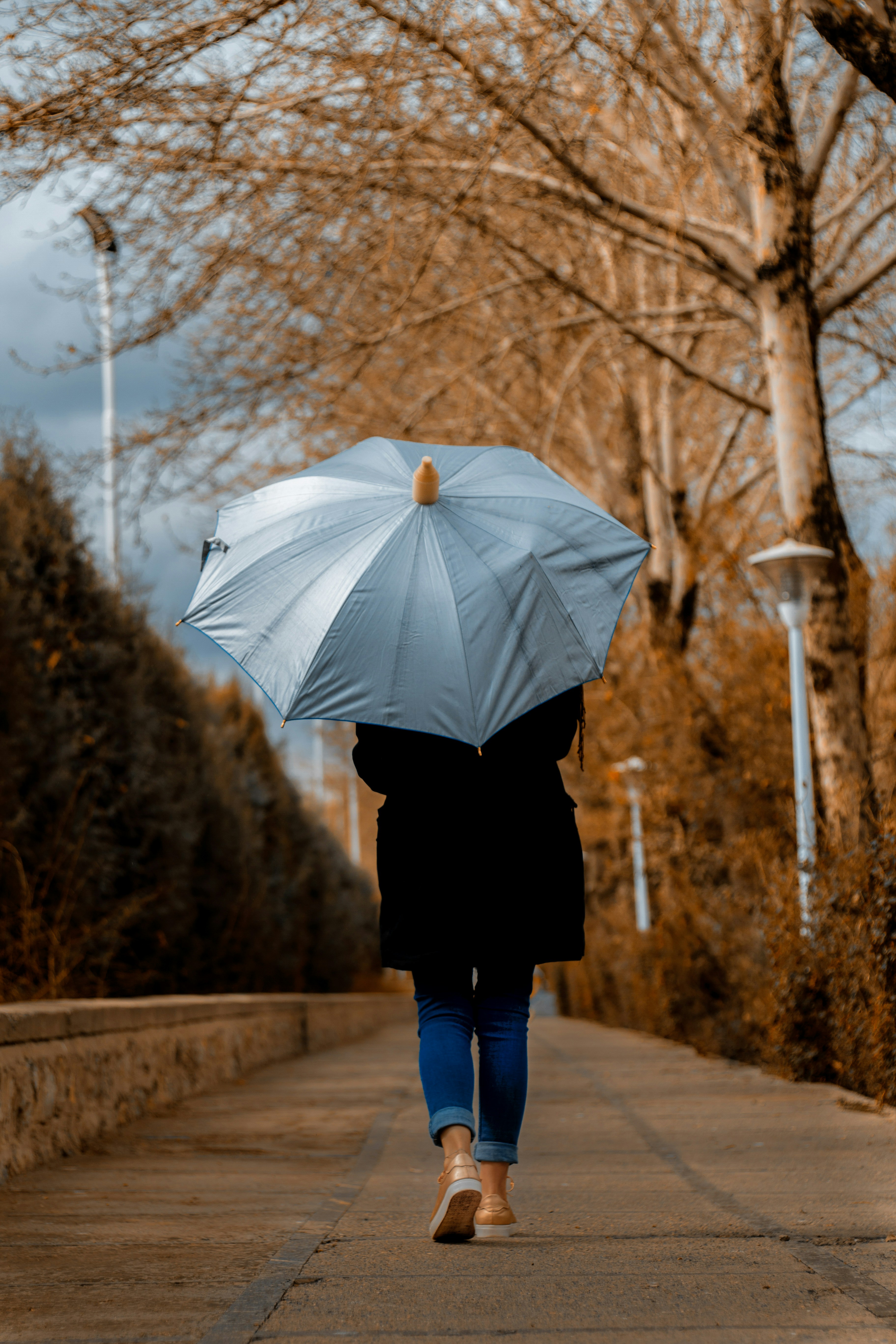 Photo by hamedpicsart