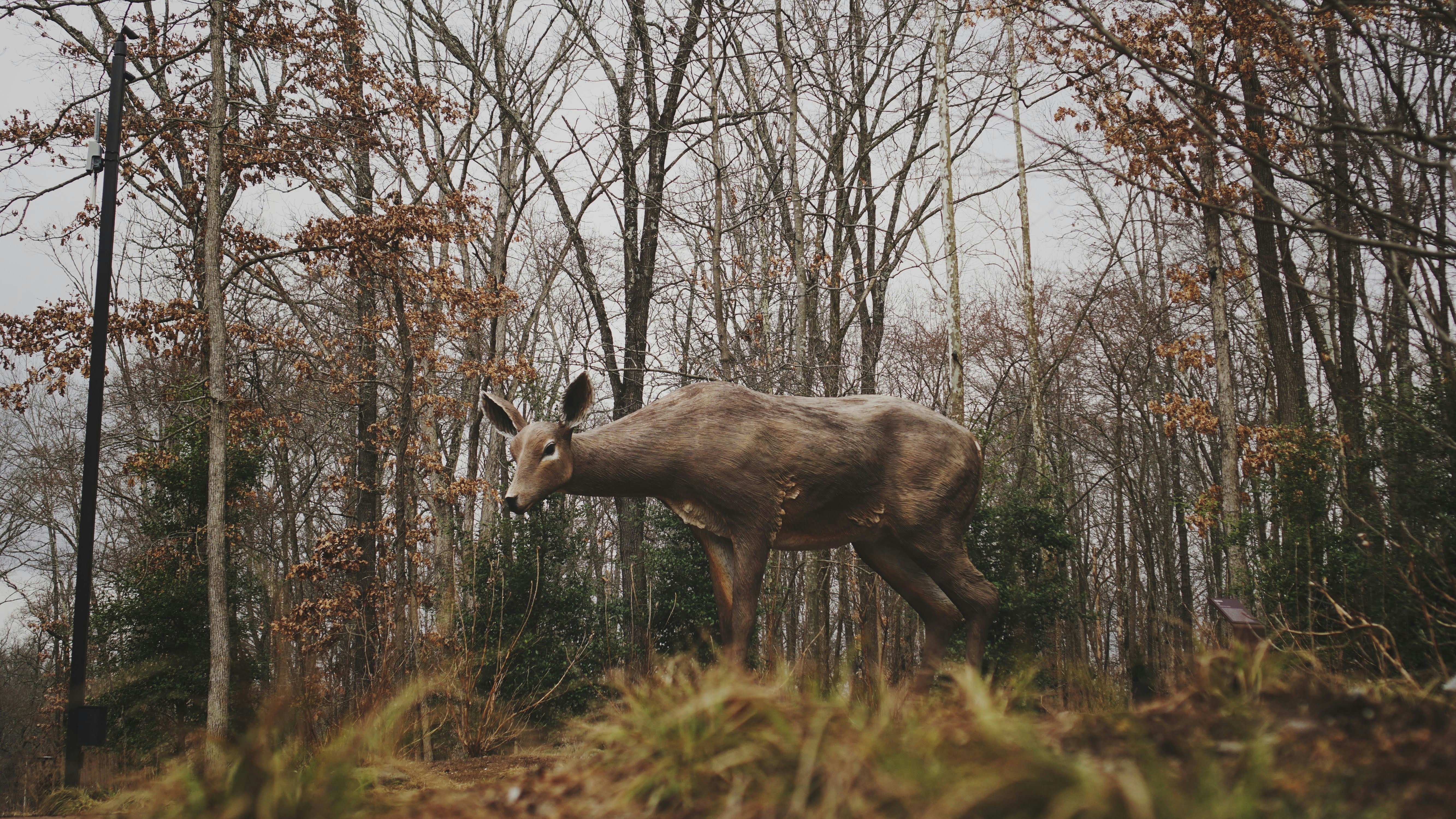Photo by minimdesignco
