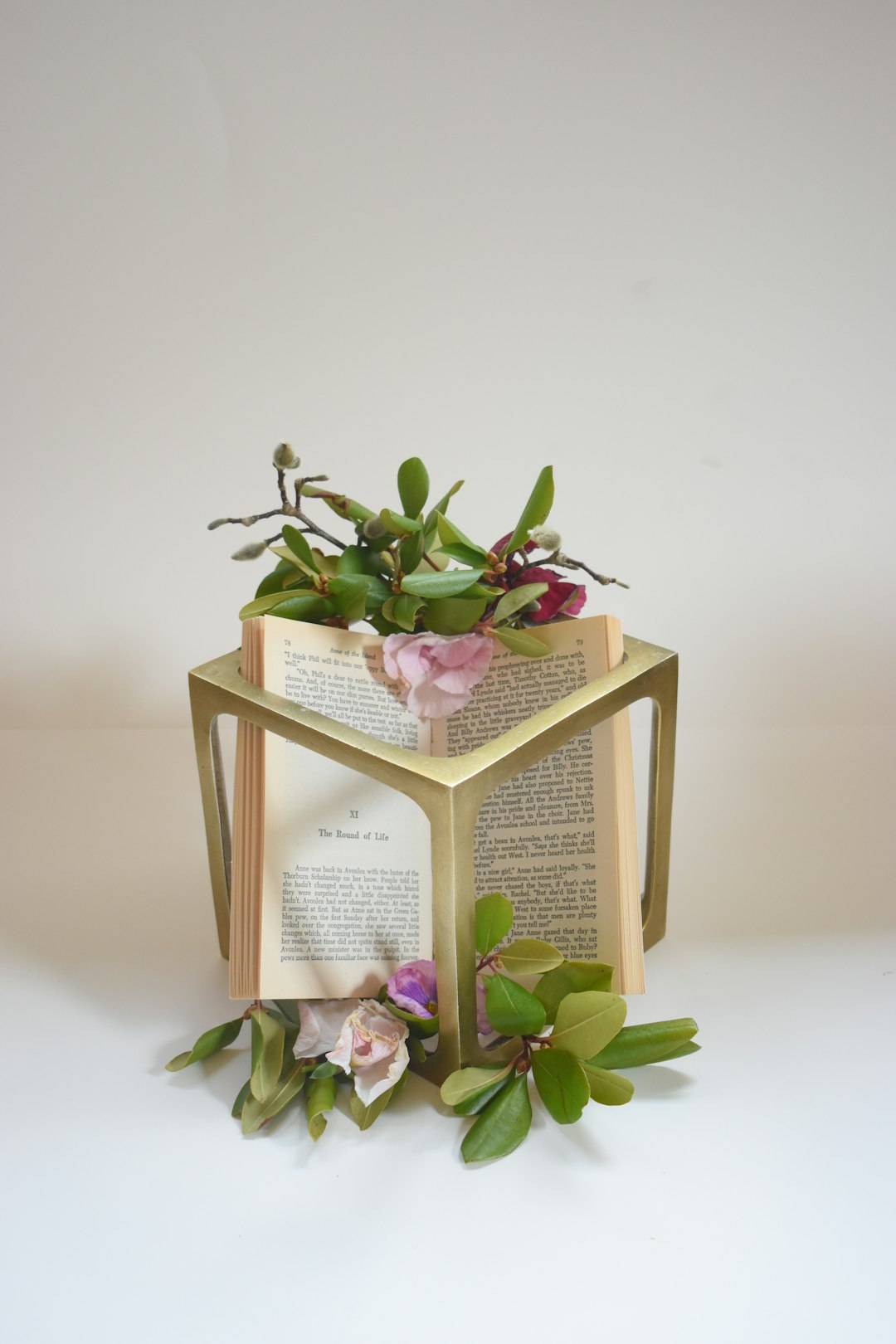 pink and white floral box with green plant