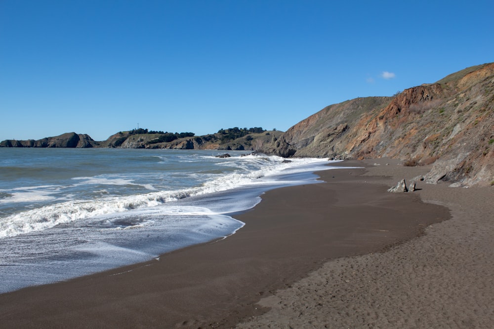 people on beach during daytime