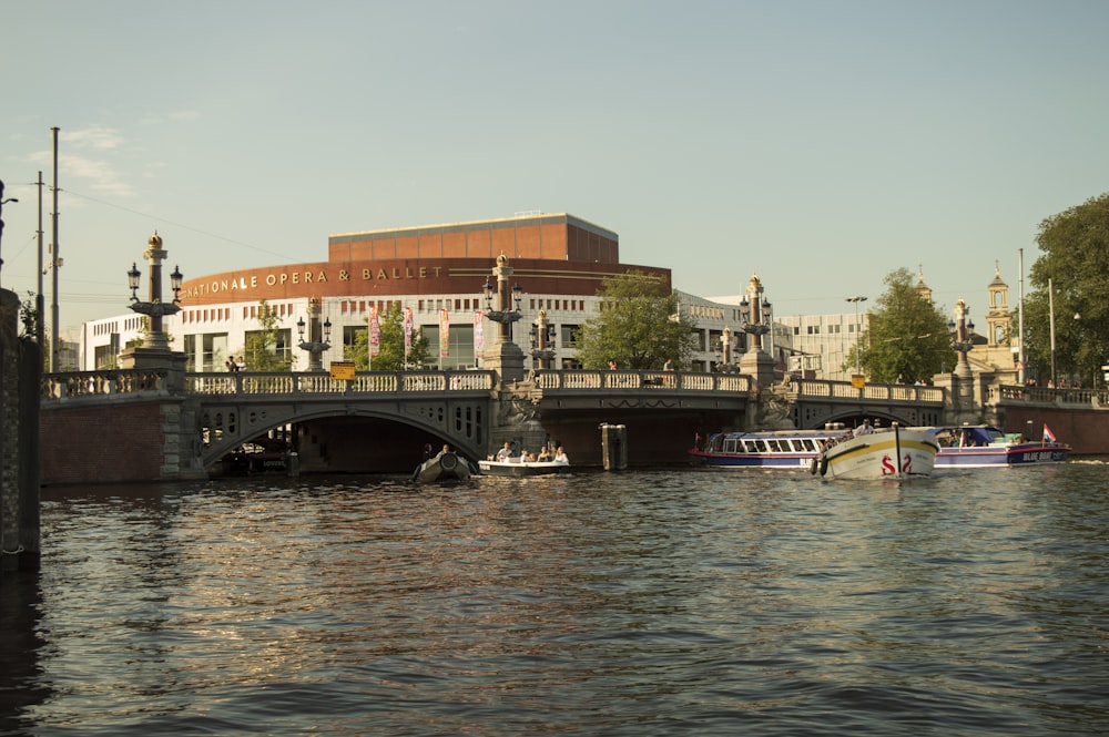 white and black boat on river during daytime